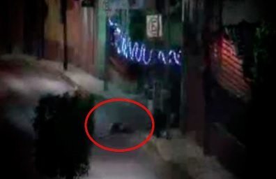 Cámaras-de-vigilancia-alarmas-2