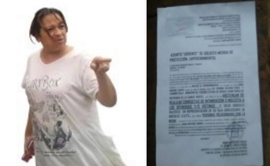 Maestra-documentos-online-comprar