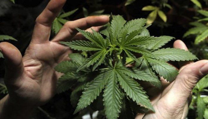 REMEDIOSDEF_blog_full