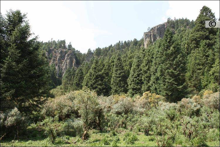 b8bfd2f4-fcb5-4f98-9a15-1729ba67c5c1-2