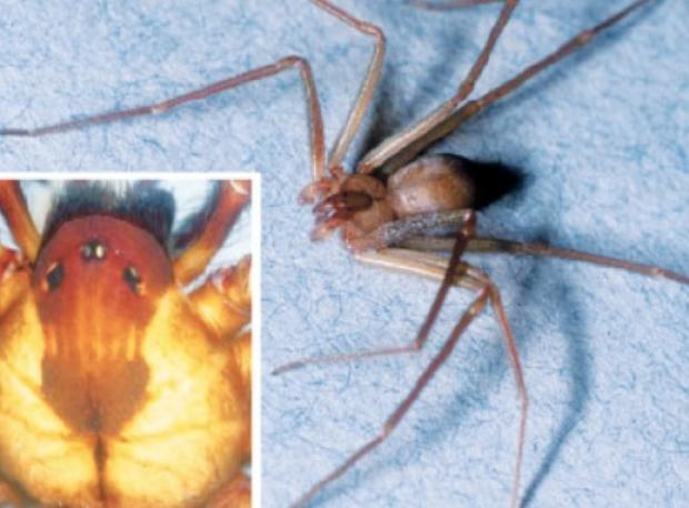 captura_de_pantalla_2015-06-30_a_las_10.13.25