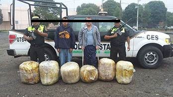 f02aee0c-0173-404e-8310-29942c2ed492