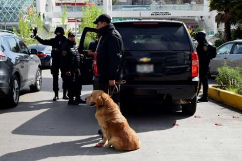 13407263_1176844625712304_1392487965590067541_n