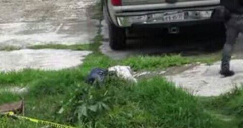 13435306_1181850131878420_7222044352333337615_n