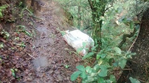 13450865_1176128935783873_3184727137550991590_n