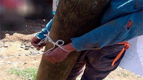 13516377_1182240605172706_3704905484989315558_n