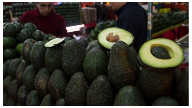 2039_aguacate_620x350