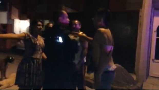 2055_mataperros-de-cuautitlan_620x350