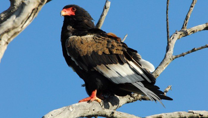 2224166845_c069150ea8_b