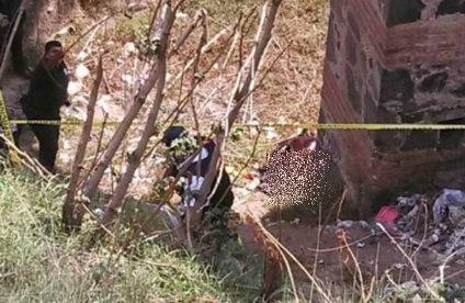 Barranca-autoridades-árboles-plantas