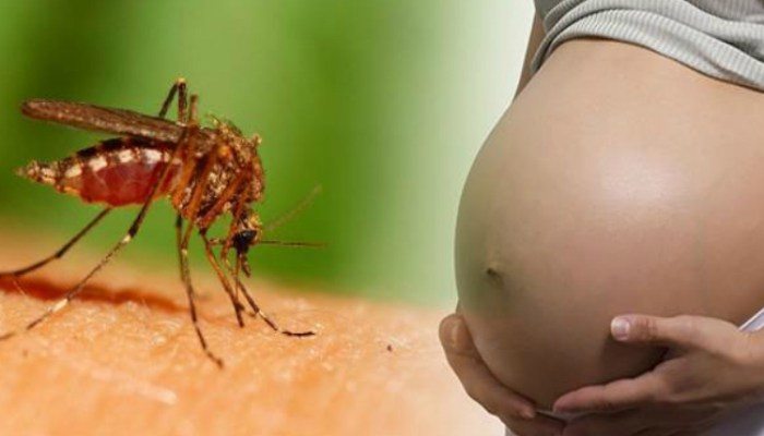 Buhola-eeuu-279-embarazadas-en-observacion-por-posible-infeccion-de-zika