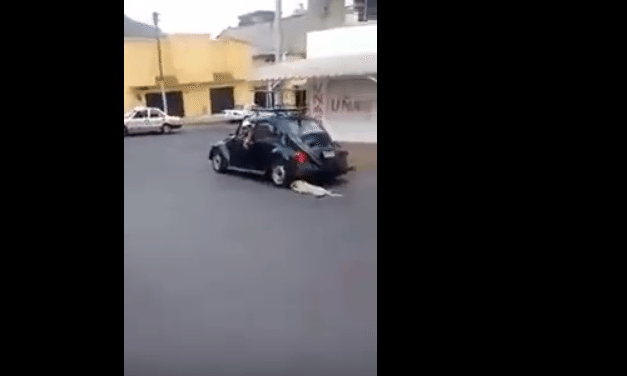 Captura de pantalla 2016-06-07 a las 10.08.27