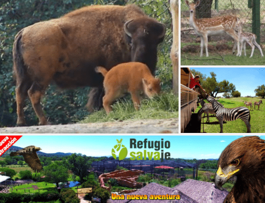 Captura de pantalla 2016-06-14 a las 9.59.17