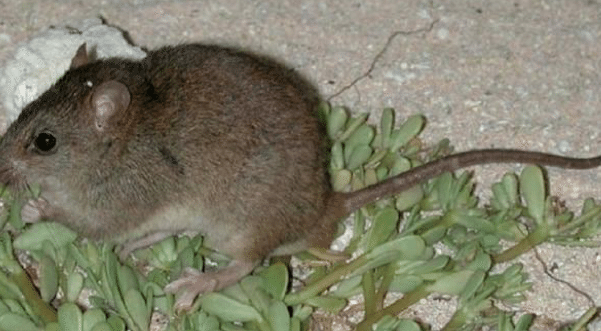 Captura de pantalla 2016-06-16 a las 10.21.27