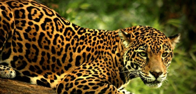 Captura de pantalla 2016-06-22 a las 11.00.31