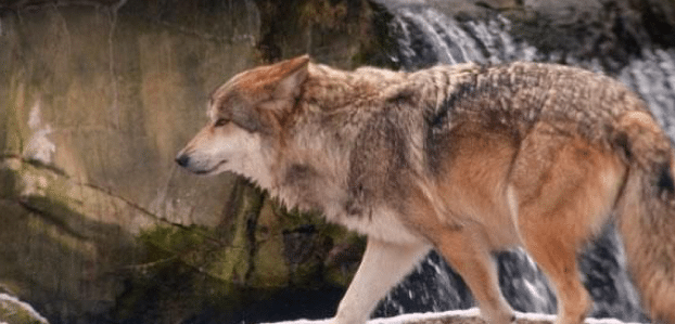 Captura de pantalla 2016-06-22 a las 11.02.12