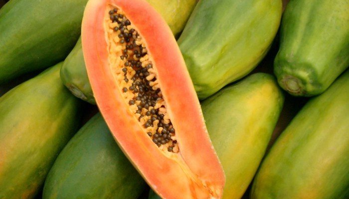 JacobiFruits_Papaya_Background