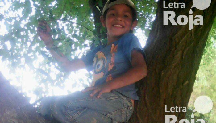 WhatsApp-Image-20160615-3