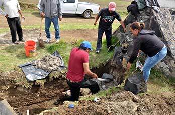 c72d4542-4257-4dba-86c8-448aec788a00