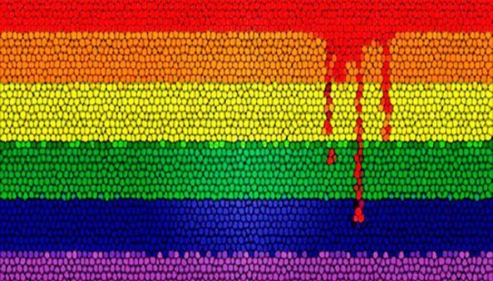 violencia-contra-LGBTI-2