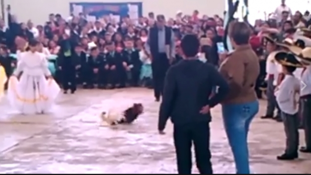 1057_especial_620x350