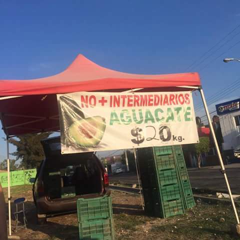 13626532_1130171110383871_4713941719240000792_n