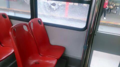 13645111_1242454029111823_2528606683974170865_n-2