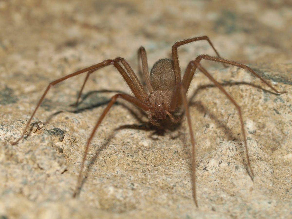 7b5793ce4a0b1fae2838dc914a0bd363