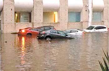 9963e954-ee6e-48c7-b804-3c83f46dd3d9