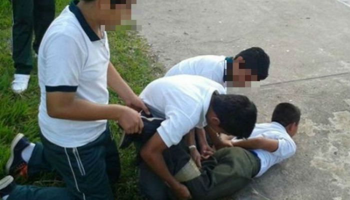 Bullying_Red-Política