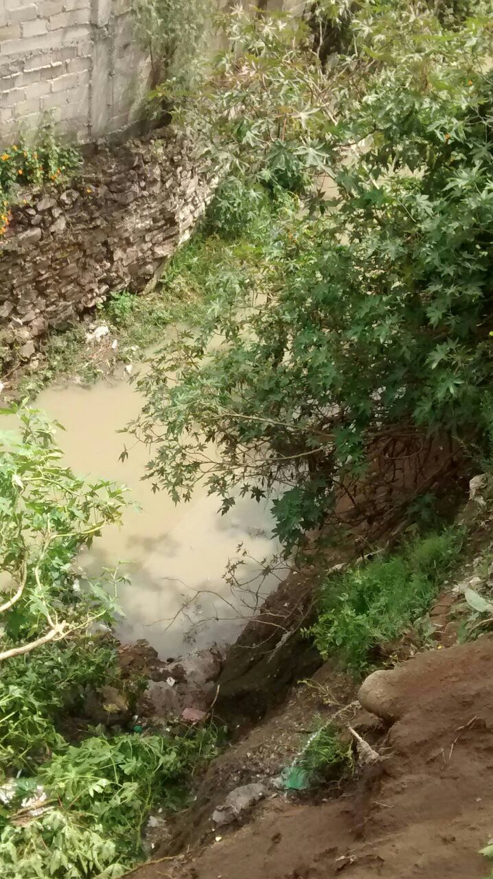 WhatsApp-Image-20160727eee