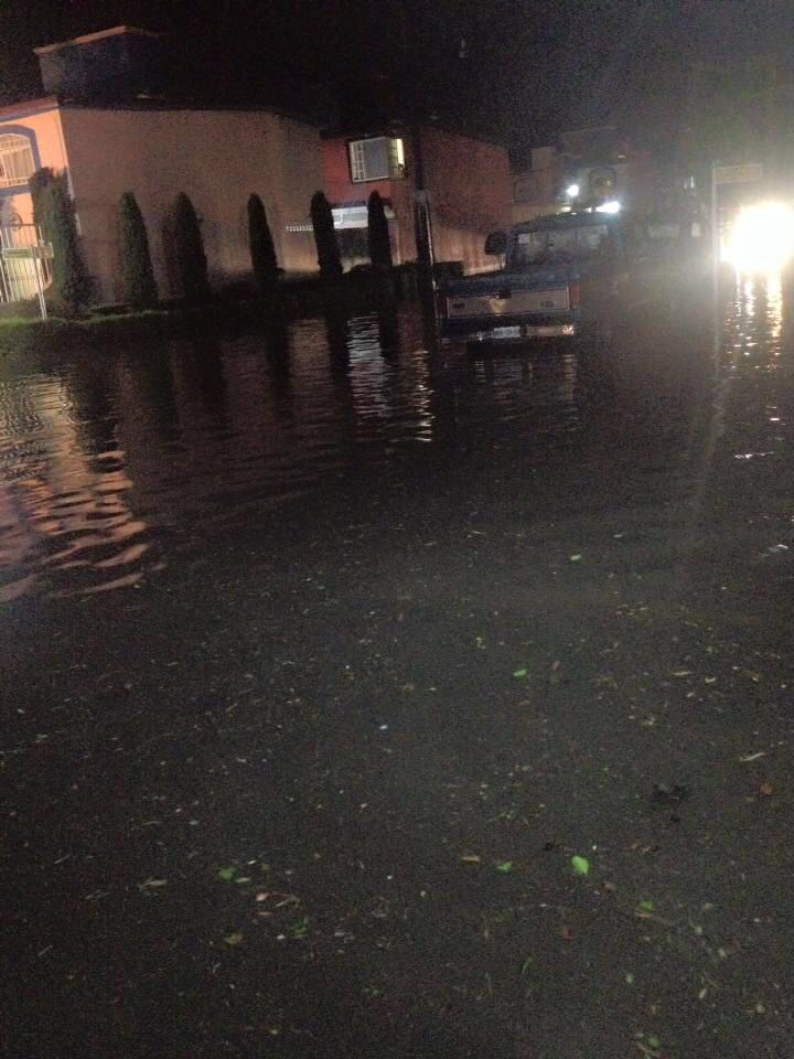 WhatsApp-Image-2016TTT0726