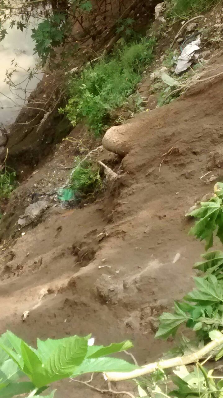 WhatsApp-Image-2016ee0727