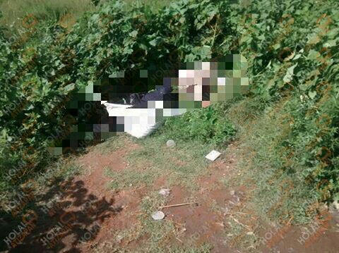 WhatsApp-Image-44420160729