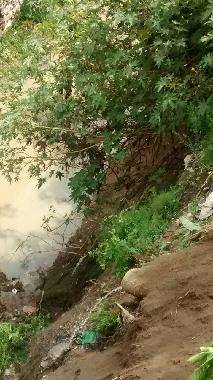 WhatsApp-Image-eee20160727