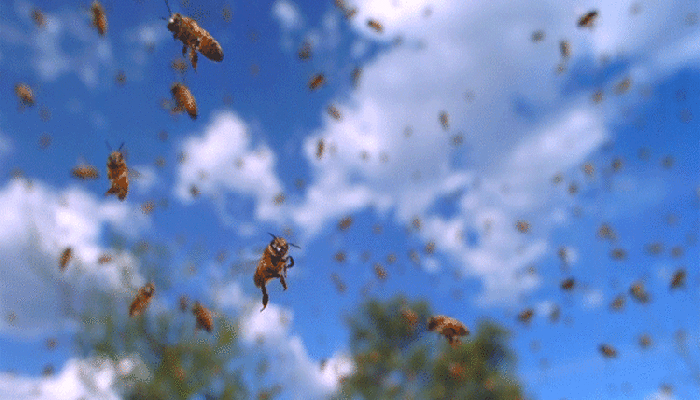 bloggif_578c13cc3d484