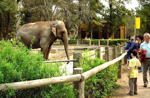 zoologico-cordoba-argentina_r2144.jpg