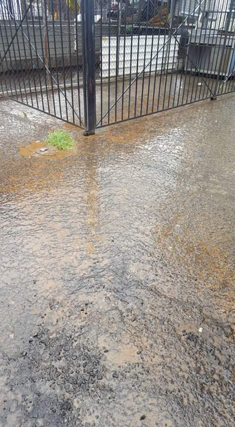 14081321_936755389786788_1336620212_n