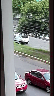 14193750_880388755438509_327616102_n