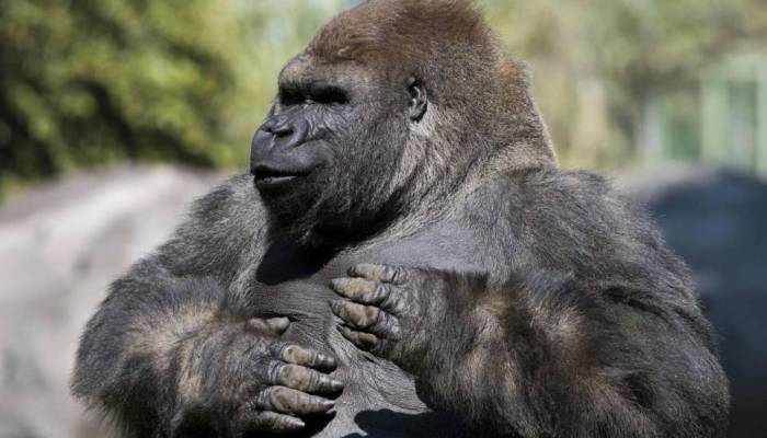 1467918566_958813_1467924301_noticia_fotograma