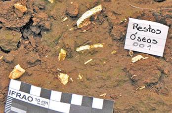 95dbdd97-c2ea-4c50-83a4-d2bc42439a78