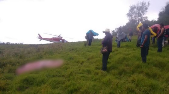 Campo-pasto-praderas