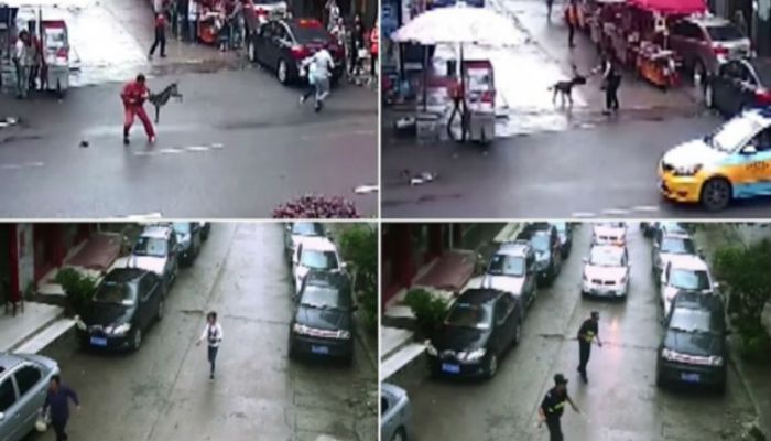 Perro-con-rabia_SDP-Noticias