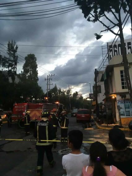 WhatsApp Image 3332016-08-31 at 19.56.50