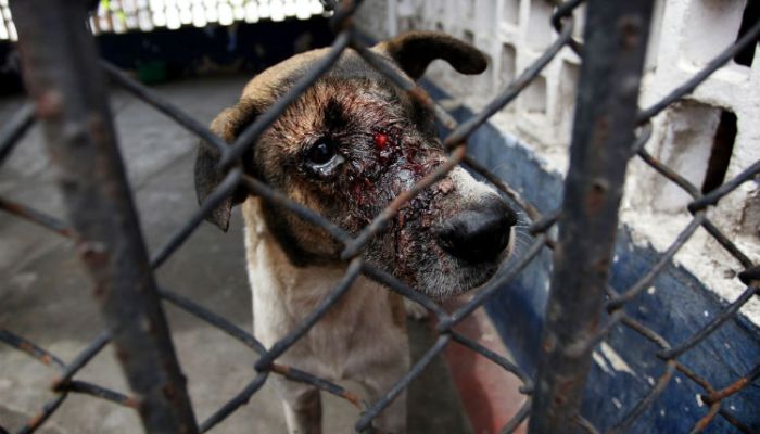 admin_fotos_2013-06-19_Veracruz_248806