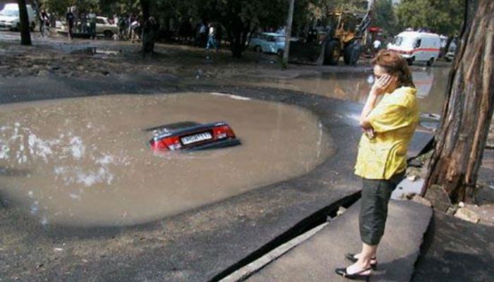 bache1