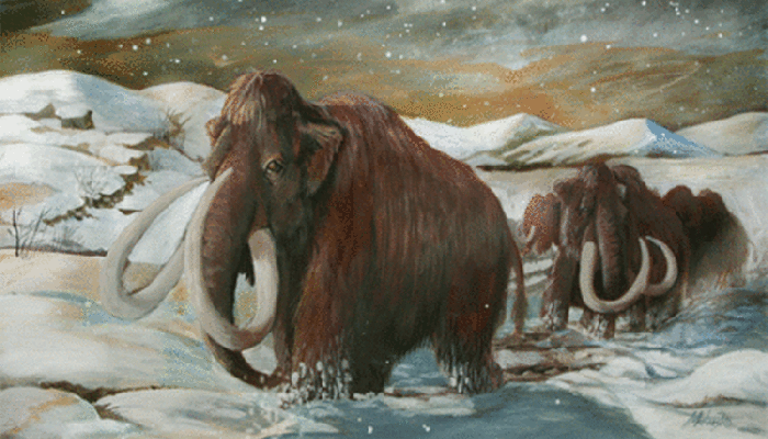 bloggif_579f8a446143c