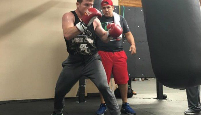 canelo_Canelo
