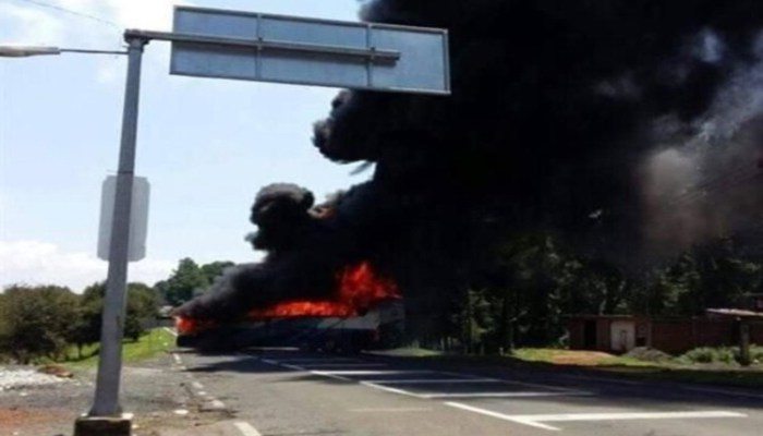 crop_w0_h0_5016958_focus_min0.16_min0.12_628_524