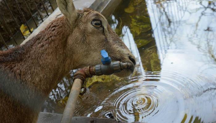 image573e03aa4fefb9.41587183